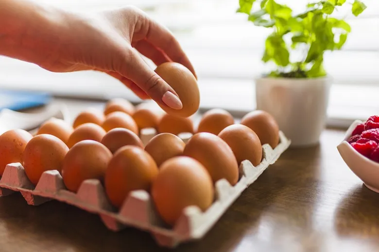 กรมปศุสัตว์ดันเลี้ยงไข่ไก่ Cage Free ยกความสำเร็จซีพีเอฟเป็นโมเดล ชี้ NGOs ผลิตคลิปบิดเบือนใช้ภาพการเลี้ยงโบราณ กระทบอุตสาหกรรม