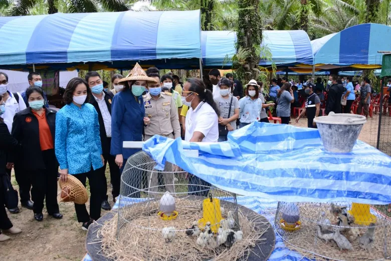 รมช.มนัญญา ติดตามความก้าวหน้าโครงการนำลูกหลานเกษตรกรกลับบ้าน จังหวัดพังงา สร้างคนรุ่นใหม่สานต่ออาชีพเกษตรกรสู่ความยั่งยืน
