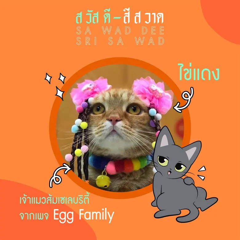สวัสดี สีสวาด งานแมวๆ ที่ทาสแมวไม่ควรพลาด ที่เซ็นทรัลโคราช