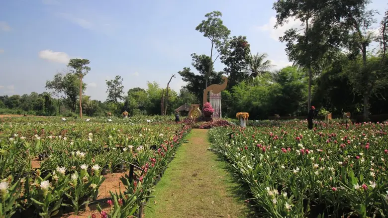 “กรมหลวงประจักษ์ฯสร้างเมือง ลือเลื่องแหล่งธรรมะ อารยธรรมห้าพันปี ธานีผ้าหมี่ขิด ธรรมชาติเนรมิตทะเลบัวแดง แรงศรัทธาศรีสุทโธ ปทุมมาคำชะโนด”