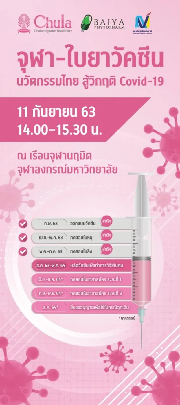 “จุฬาฯ – ใบยา” เดินหน้าประกาศความสำเร็จ วัคซีนป้องกัน Covid-19 จากใบพืช