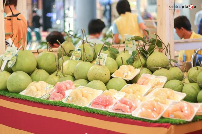 “The Best Of Nakornpathom” วันส้มโอมณฑลนครชัยศรีและของดี 100 ปี นครปฐม