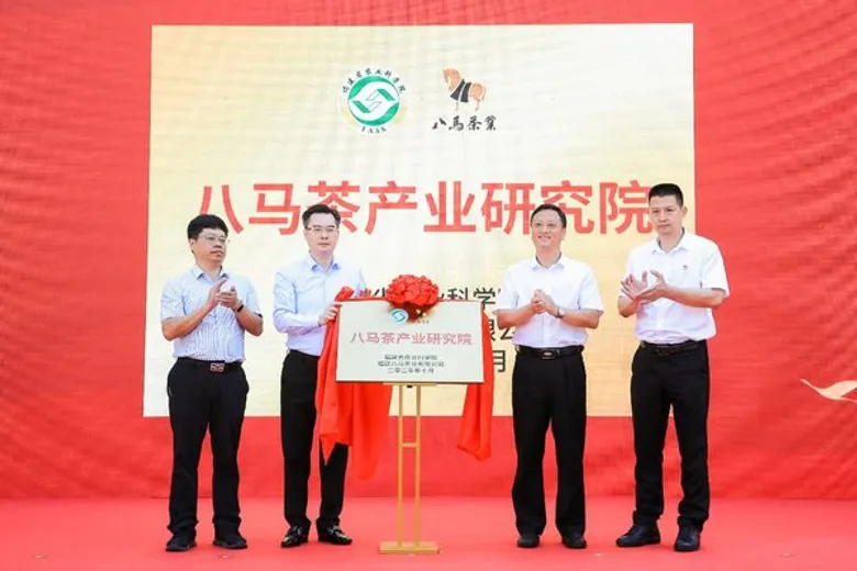 Bama Tea จัดงานโปรโมทผลิตภัณฑ์ชาทิกวนอิม Anxi Tieguanyin