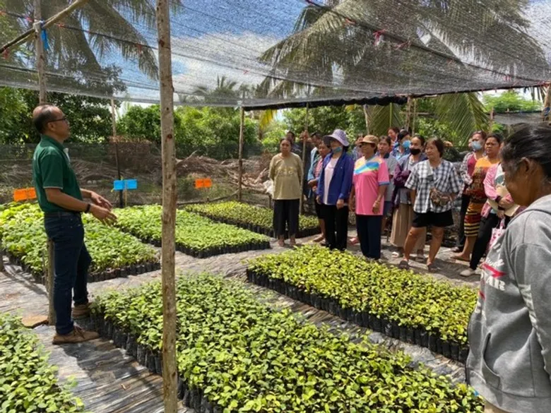 โครงการ 'Forest for Life สร้างป่าสร้างชีวิต' โดย THE FORESTIAS by MQDC ได้ดำเนินการมาจนครบวงจร มอบกล้าไม้ 300,000 ต้นให้ทางกรุงเทพมหานคร