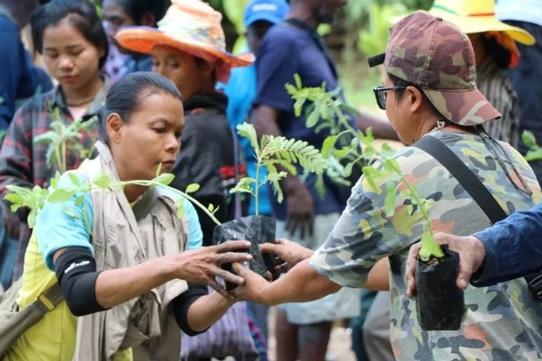 โครงการ 'Forest for Life สร้างป่าสร้างชีวิต' โดย THE FORESTIAS by MQDC ได้ดำเนินการมาจนครบวงจร มอบกล้าไม้ 300,000 ต้นให้ทางกรุงเทพมหานคร
