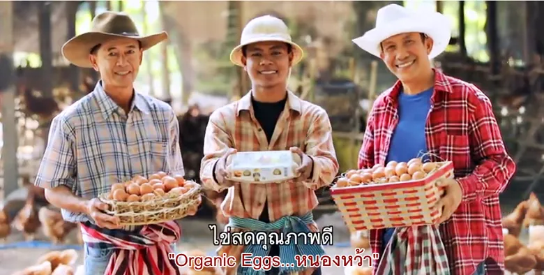 ซีพีเอฟ ต่อยอดความสำเร็จหมู่บ้านเกษตรกรรมหนองหว้า ดันผลิต "Organic Eggs หนองหว้า"... ไข่ไก่สดจากหัวใจเกษตรกร
