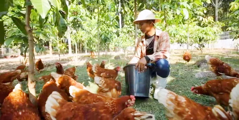 ซีพีเอฟ ต่อยอดความสำเร็จหมู่บ้านเกษตรกรรมหนองหว้า ดันผลิต "Organic Eggs หนองหว้า"... ไข่ไก่สดจากหัวใจเกษตรกร
