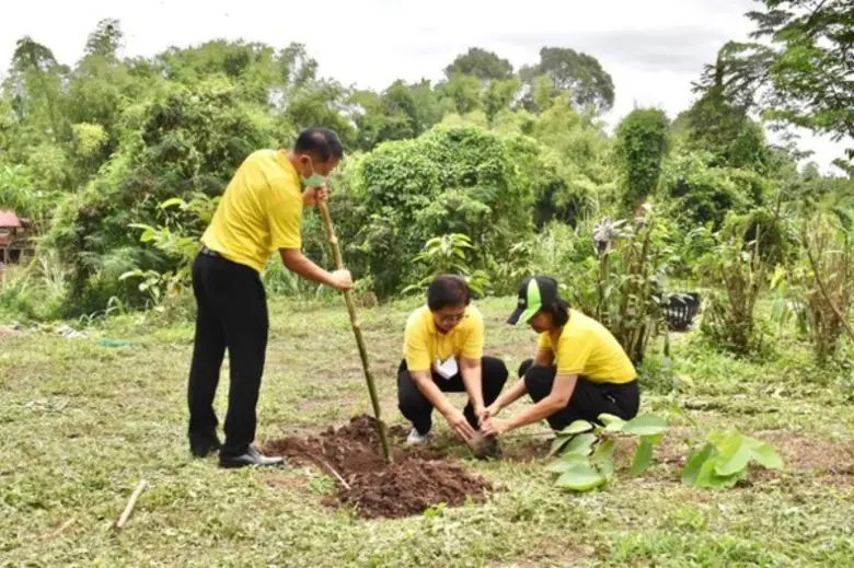 สพร.9 พิษณุโลก ร่วมสำนักงานจัดหางานจังหวัดพิษณุโลก จัดกิจกรรม "21 ตุลาคม วันรักต้นไม้ประจำปีของชาติ ราชสักการะสมเด็จย่าๆ ของแผ่นดิน"