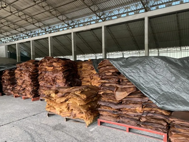 กยท. เร่ง สร้างความเข้าใจชาวสวนยาง ลงพื้นที่แจง กระบวนการซื้อขายยางผ่านตลาดกลางฯ