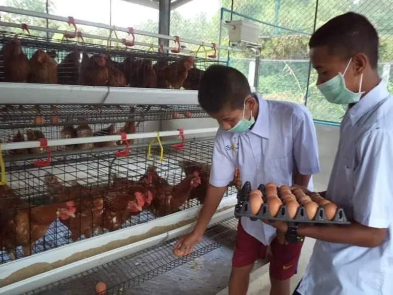ตามดู "โครงการเลี้ยงไก่ไข่เพื่ออาหารกลางวันนักเรียน" ในศูนย์การเรียนรู้ อา โยน อู  อ.แม่สอด จ.ตาก