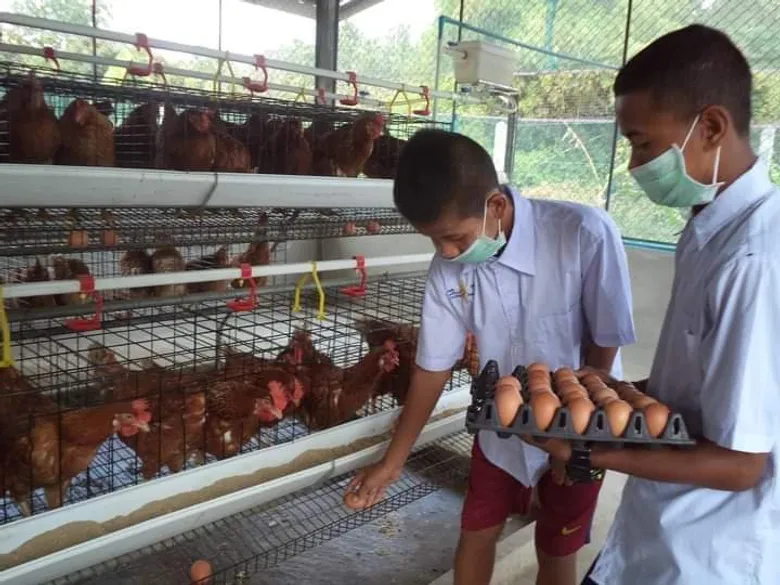 ตามดู "โครงการเลี้ยงไก่ไข่เพื่ออาหารกลางวันนักเรียน" ในศูนย์การเรียนรู้ อา โยน อู อ.แม่สอด จ.ตาก