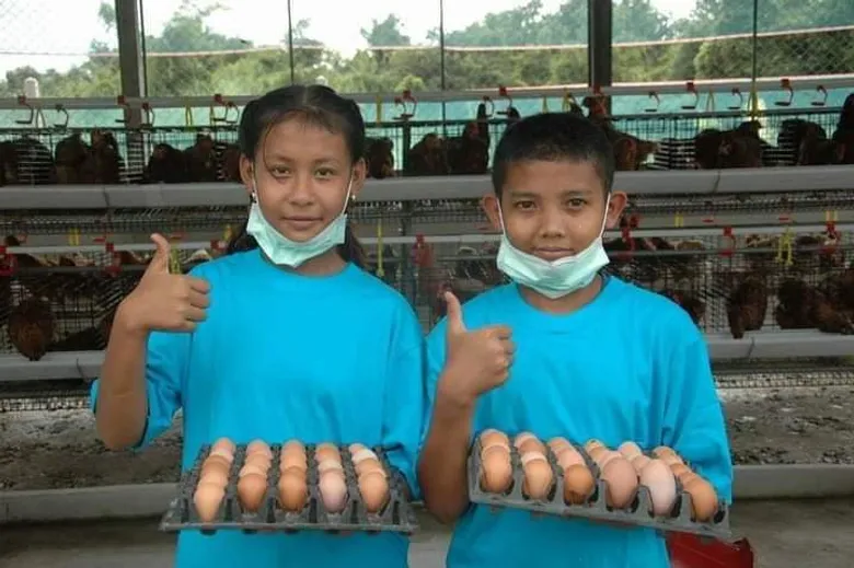 ตามดู "โครงการเลี้ยงไก่ไข่เพื่ออาหารกลางวันนักเรียน" ในศูนย์การเรียนรู้ อา โยน อู อ.แม่สอด จ.ตาก
