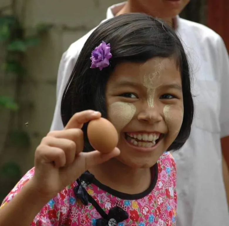ตามดู "โครงการเลี้ยงไก่ไข่เพื่ออาหารกลางวันนักเรียน" ในศูนย์การเรียนรู้ อา โยน อู อ.แม่สอด จ.ตาก