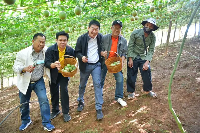 วันที่ 29 พฤศจิกายน 2563 นายวิศิษฐ์ ศรีสุ...