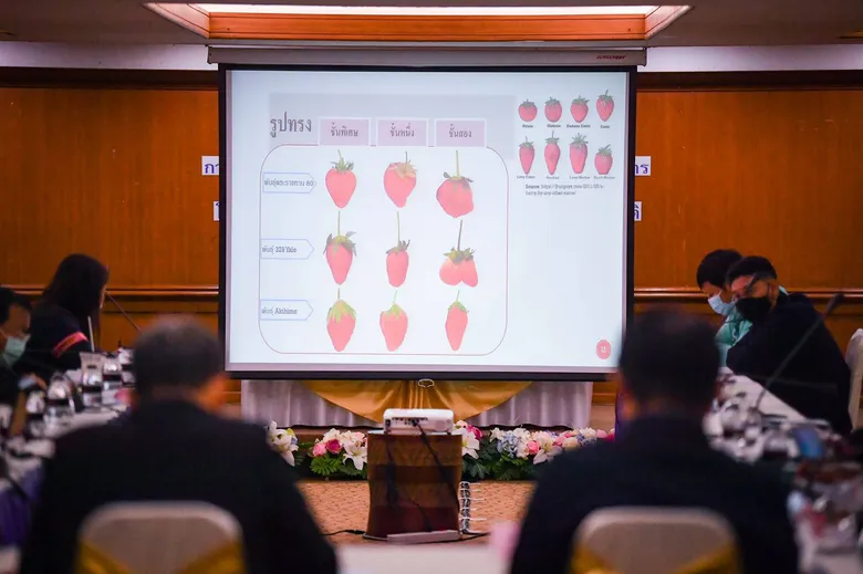 มกอช. เปิดสัมมนาระดมความเห็น เดินหน้ายกระดับมาตรฐานสตรอว์เบอร์รี