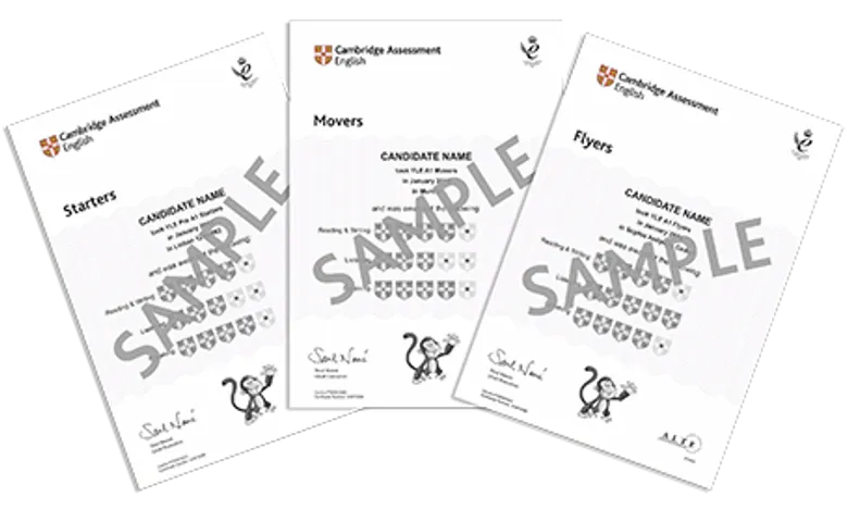 โรงเรียนภาษาอังกฤษพิงกุ จัดสอบวัดระดับภาษาอังกฤษ Cambridge English