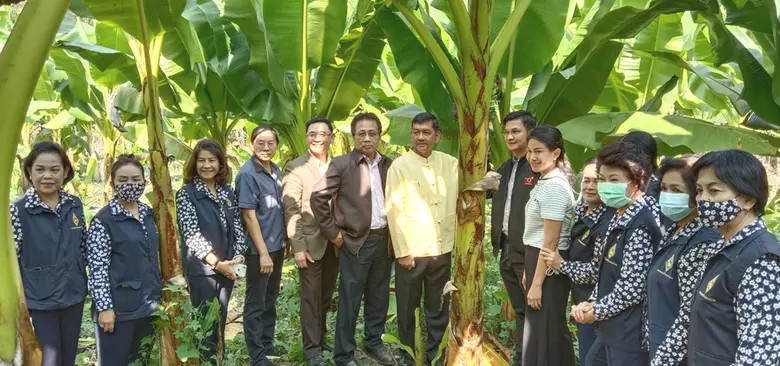 รองศาสตราจารย์จักษ์ พันธ์ชูเพชร ที่ปรึกษา...