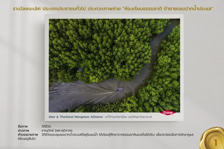 กลุ่มบริษัท ดาว ประเทศไทย (Dow) และเครือข่ายรักษ์ป่...