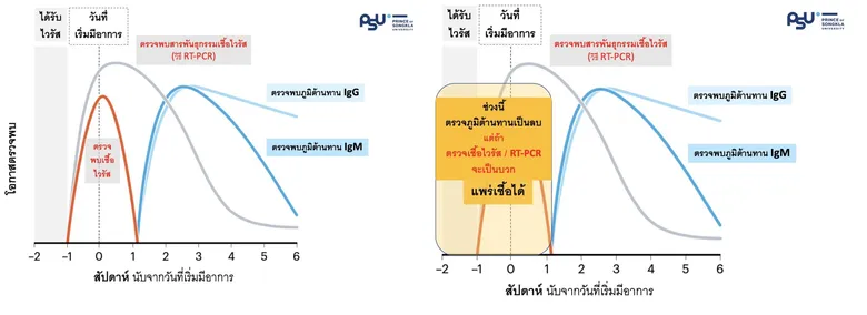 สงขลานครินทร์ แถลงข่าว "ชุดตรวจคัดกรองแอนติบอดีโควิด-19" แนะวิธีใช้งานอย่างถูกต้อง
