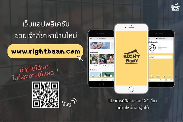 สุนัขและแมวจรจัดเป็นปัญหาที่พบโดยทั่วไป ในแต่ละปีมี...