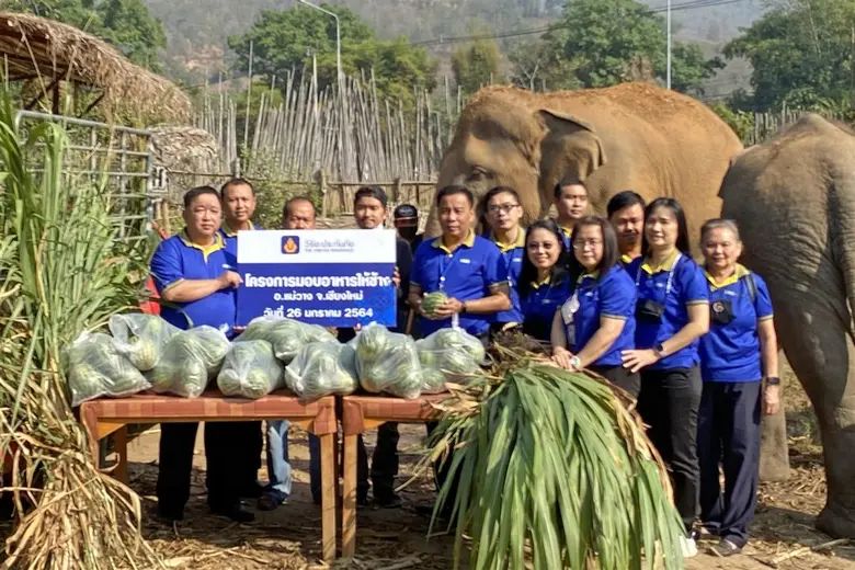 นายแมน หวังใจ ผู้จัดการ Elephant jungle s...