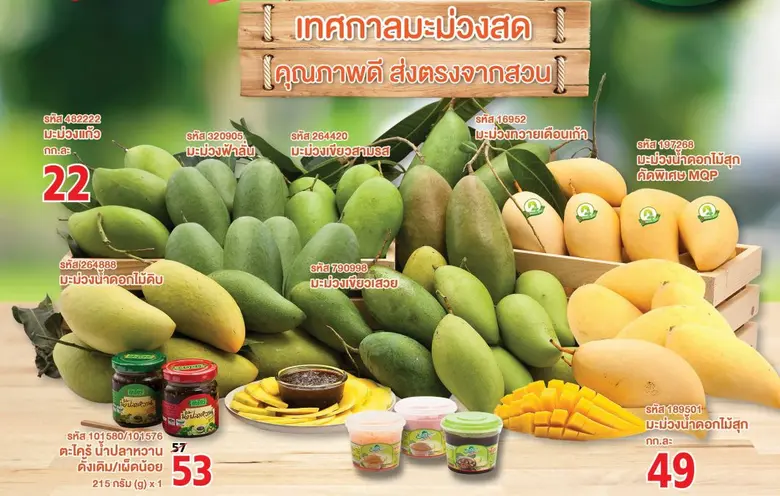 แม็คโคร เคียงข้างเกษตรกรไทย ช่วยชาวสวนระบายมะม่วงกว่า 3,000 ตัน พร้อมรณรงค์บริโภคผลไม้คุณภาพตลอดฤดูกาล สู้วิกฤตผลผลิตล้น