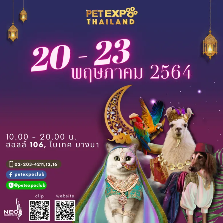 ความสนุกครั้งใหม่กำลังจะเกิดขึ้นอีกครั้ง ...