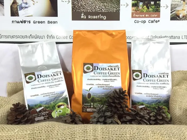 กสส. ชู"กาแฟดอยสะเก็ด" ตัวอย่างสินค้าสหกรณ์ที่พัฒนาได้ครบวงจร จับมือ JICA หนุนสหกรณ์ผลิตกาแฟรสชาติเป็นอัตลักษณ์เฉพาะ