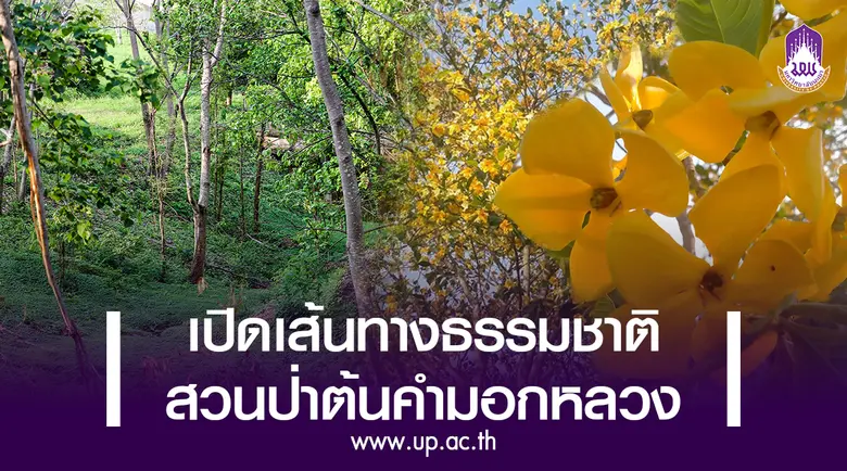 อธิการบดีมหาวิทยาลัยพะเยา รองศาสตราจารย์ ...