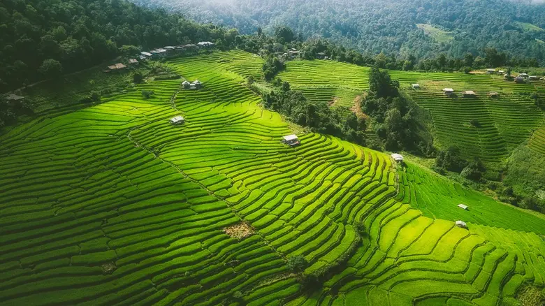 อนันตรา เชียงใหม่ รีสอร์ท ชวนนักเดินทางวางแผนเที่ยวหน้าฝน กับไอเดียที่เที่ยวและห้องพักราคาสุดพิเศษ