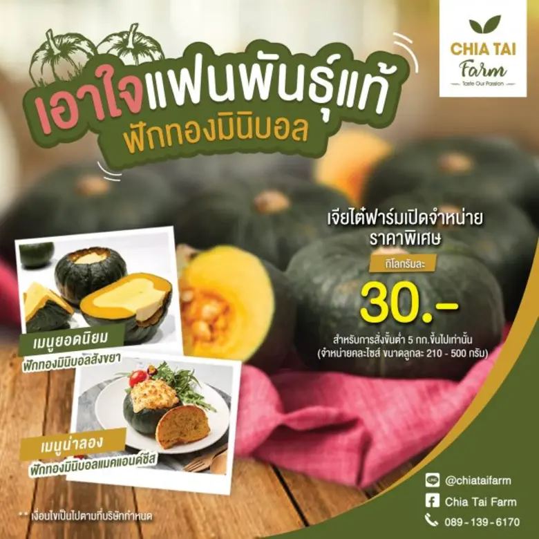 พิเศษสุดสำหรับผู้ที่ชื่นชอบฟักทองมินิบอล ...