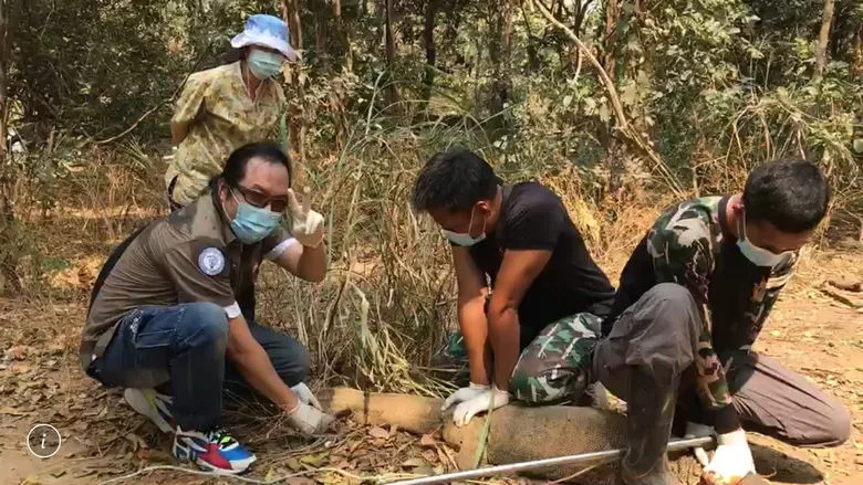 ม.มหิดล มุ่งวิจัยศึกษาคุณสมบัติทางยาจากเลือด "ตัวเงินตัวทอง" (Varanus salvator) หวังพิชิตมะเร็ง COVID-19 และโรคอุบัติใหม่ครั้งแรกของโลก