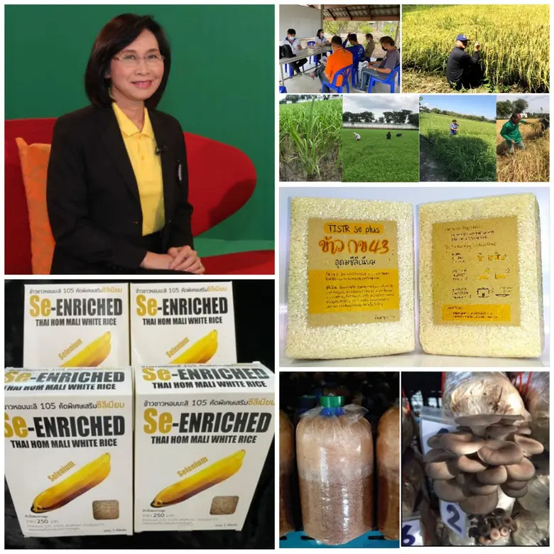 กระทรวงการอุดมศึกษา วิทยาศาสตร์ วิจัยและน...