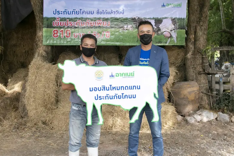 อาคเนย์ กลุ่มธุรกิจประกันและการเงิน หนึ่ง...