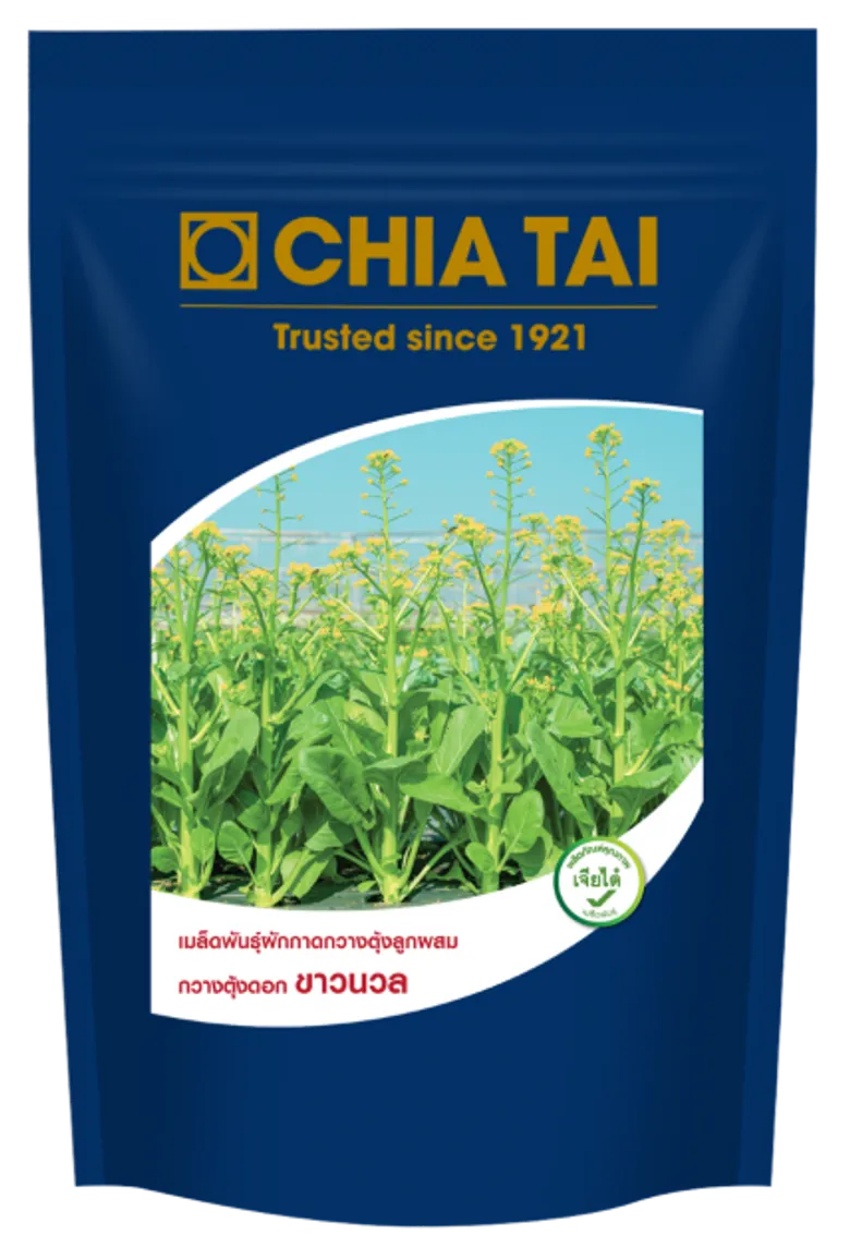 เจียไต๋ ตอกย้ำความเป็นผู้นำตลาดเมล็ดพันธุ์ เปิดตัวกวางตุ้งดอกลูกผสมสายพันธุ์แรกของไทย ใช้เมล็ดน้อยลง ได้ผลิตผลเพิ่มขึ้น