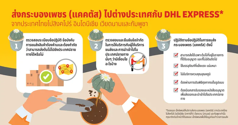 บริการส่งกระบองเพชรไปต่างประเทศช่วยให้ผู้...