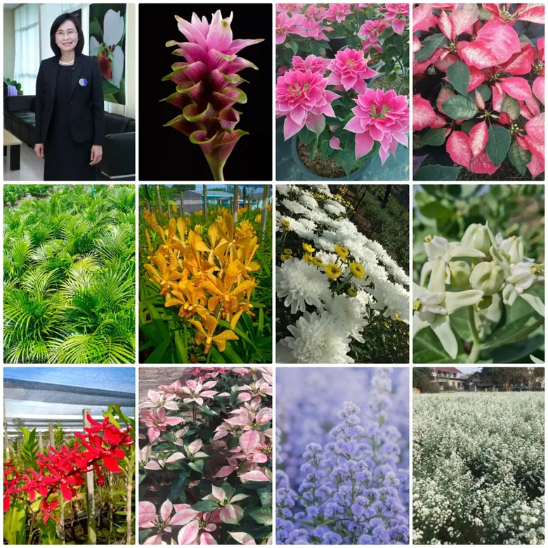 วว./พันธมิตร มุ่งพัฒนาคลัสเตอร์ไม้ดอกไม้ประดับ สนับสนุน SMEs ให้เป็นผู้ประกอบการยุคใหม่ที่มีศักยภาพการแข่งขัน