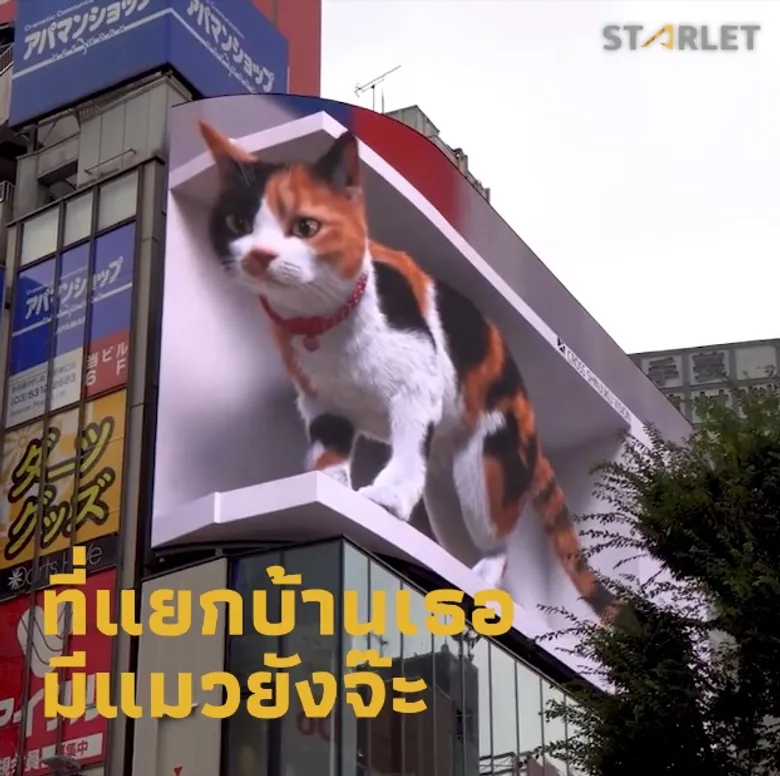 AQUA มั่นใจ "STARLET" ยกมาตรฐานวงการสื่อสารนอกบ้านเทียบเท่าสากล