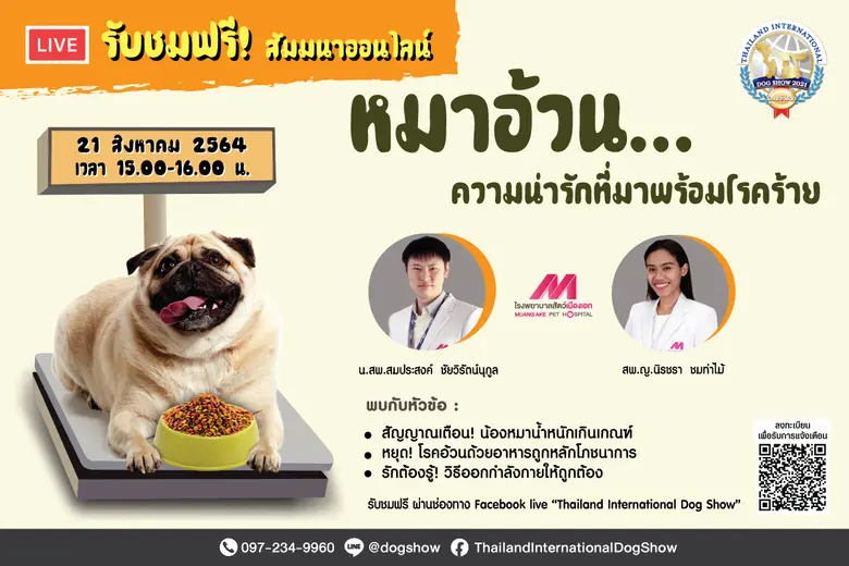 ข่าวดีสำหรับผู้เลี้ยงสุนัข !! บริษัท อิมแ...