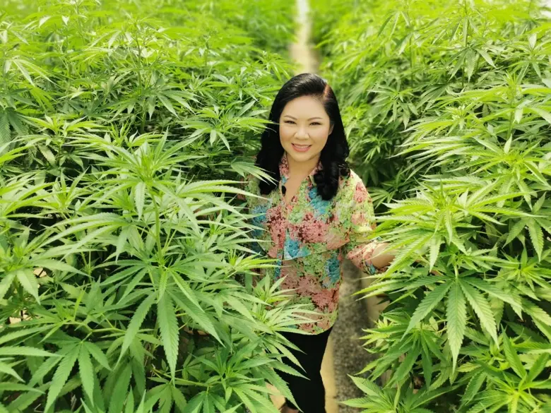 บริษัท แคนนาบิซ เวย์ จำกัด (CANNABIZ WAY ...