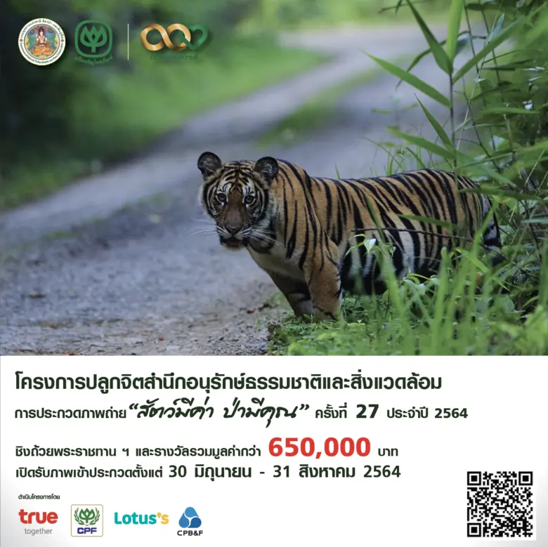 พลาดไม่ได้!! วีคสุดท้ายกับการประกวดภาพถ่า...