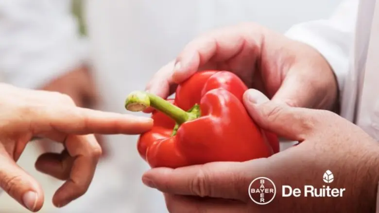 ไบเออร์เปิดตัว "Vegetables by Bayer" แพลตฟอร์มแบรนด์ใหม่เพื่อเน้นย้ำถึงความมุ่งมั่นที่มีต่อลูกค้าและพันธมิตร