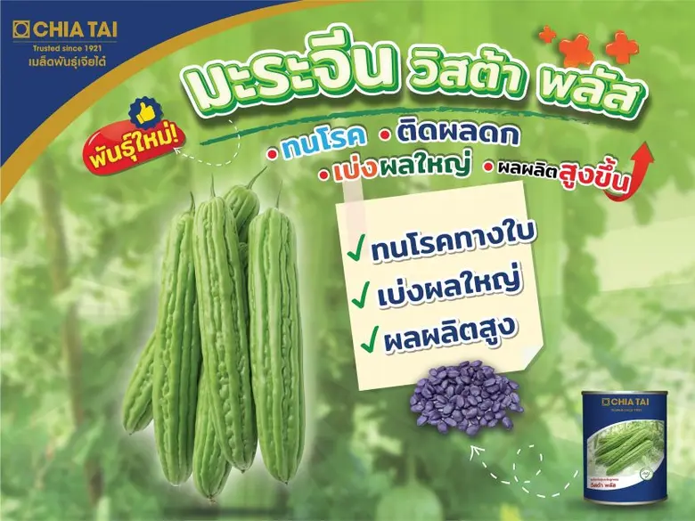 บริษัท เจียไต๋ จำกัด ผู้นำธุรกิจนวัตกรรมก...