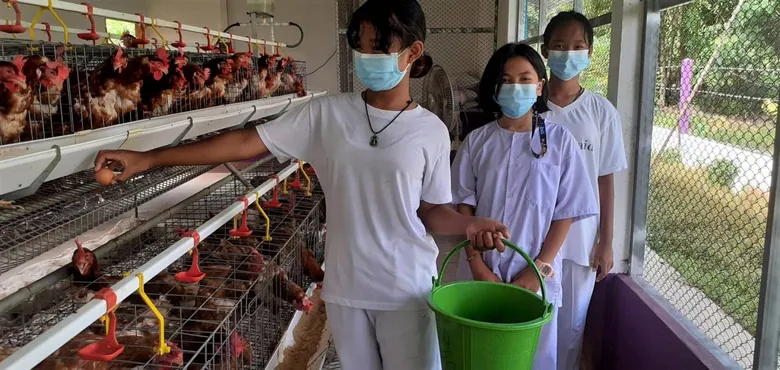 โครงการเลี้ยงไก่ไข่ รร. บ้านคลองเรือ กำแพงเพชร สร้างประสบการณ์ชีวิต หนุนนักเรียนพึ่งพาตนเองในอนาคต