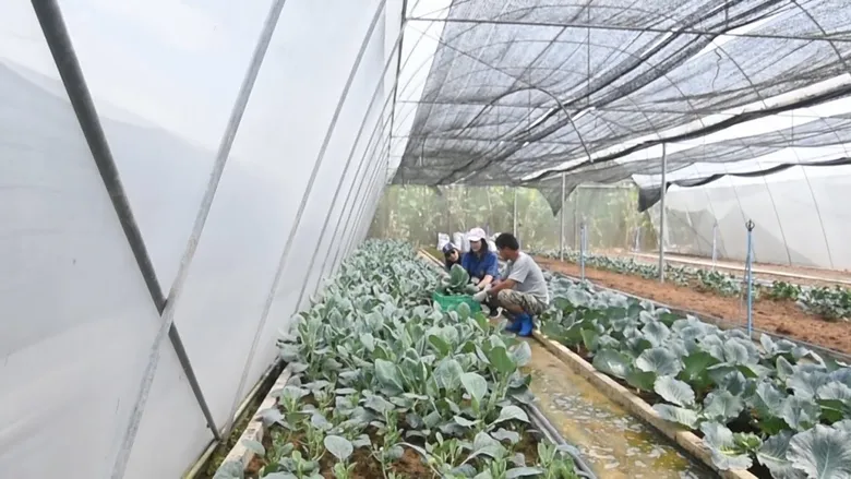 เกษตรฯ ปรับแผนตรวจแปลงช่วงโควิดผ่านระบบออนไลน์