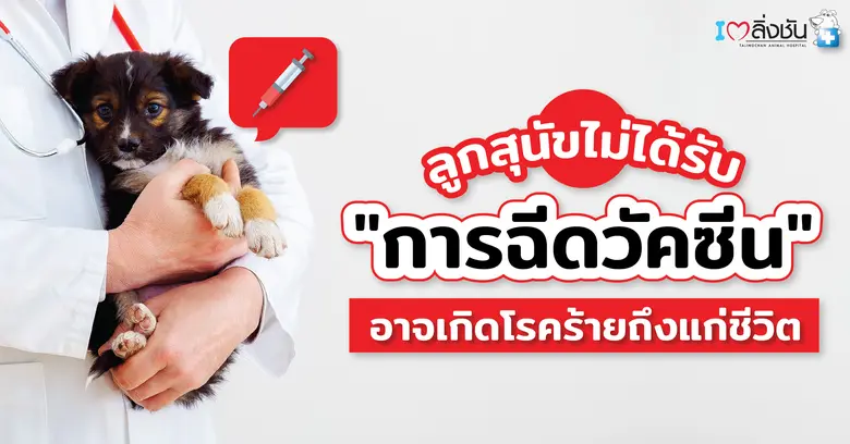 ช่วงนี้เทรนด์การเลี้ยงสัตว์มีจำนวนเพิ่มขี้นเรื่อย ๆ...
