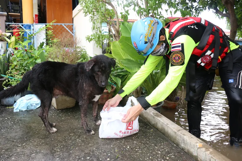 มูลนิธิป่อเต็กตึ๊ง จัดทีมบรรเทาสาธารณภัย และชุดโรงครัวเคลื่อนที่ เร่งลงพื้นที่ช่วยเหลือผู้ประสบภัยน้ำท่วม อำเภอบ้านหมอ จังหวัดสระบุรี
