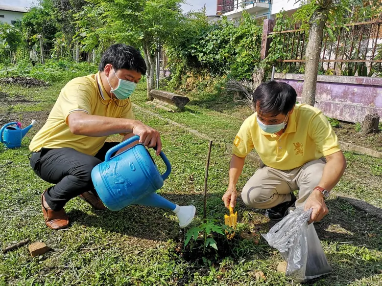 สนพ.แพร่ จัดกิจกรรมบำรุงรักษาต้นไม้ เนื่องใน "วันรักต้นไม้ประจำปีของชาติ" ประจำปี พ.ศ. 2564