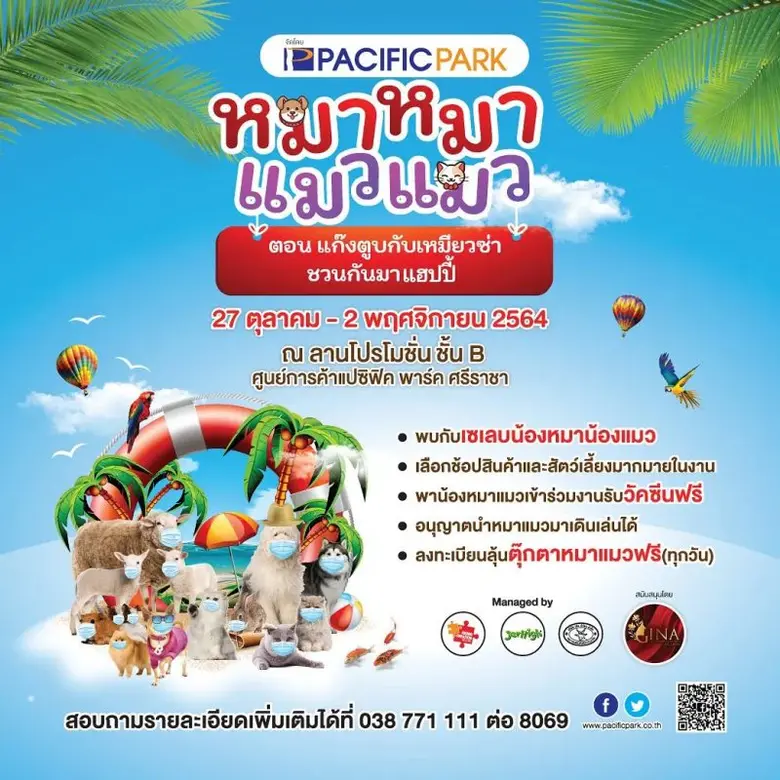 หมาหมา แมวแมว ตอน แก๊งตูบกับเหมียวซ่า ชวนกันมาแฮปปี้
