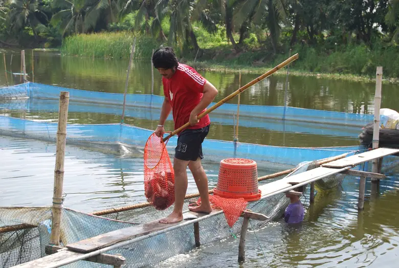 เลขากองทุนฟื้นฟูฯ สั่งลุยปี 65 แก้ทั้งหนี้ 40,000 ราย และฟื้นฟูอาชีพอีก 1,640 โครงการ พร้อมวอนรัฐบาลเร่งอนุมัติงบกลาง เพื่อมาใช้ดำเนินงาน